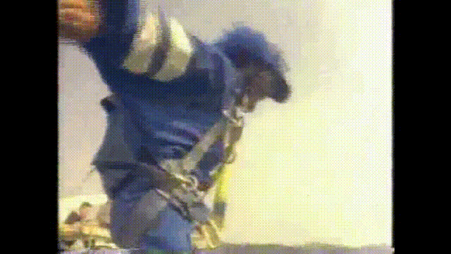 The Blue Bandit of Texas
