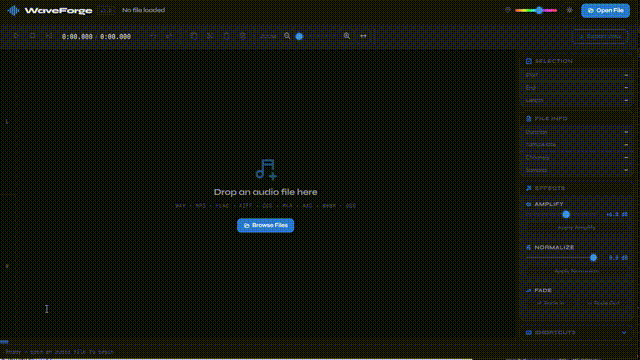 GoAudio Editor